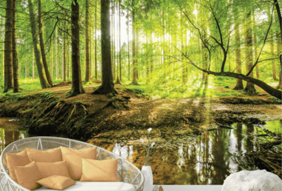 Forest & Jungle murals