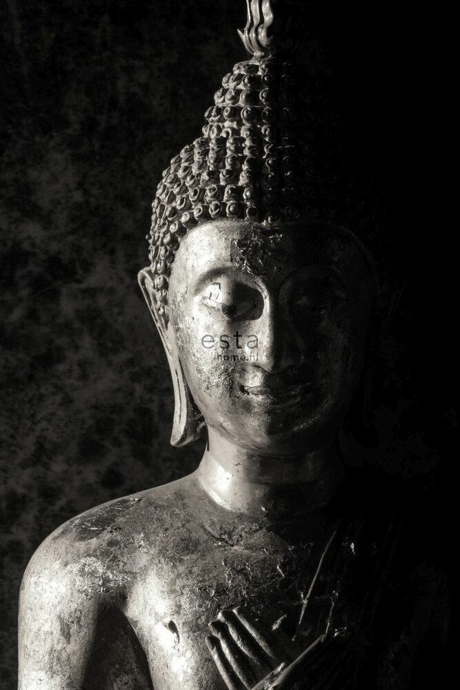 Esta XL2 - Photowalls | Boho Chic 158823 (FREE Glue Included!)