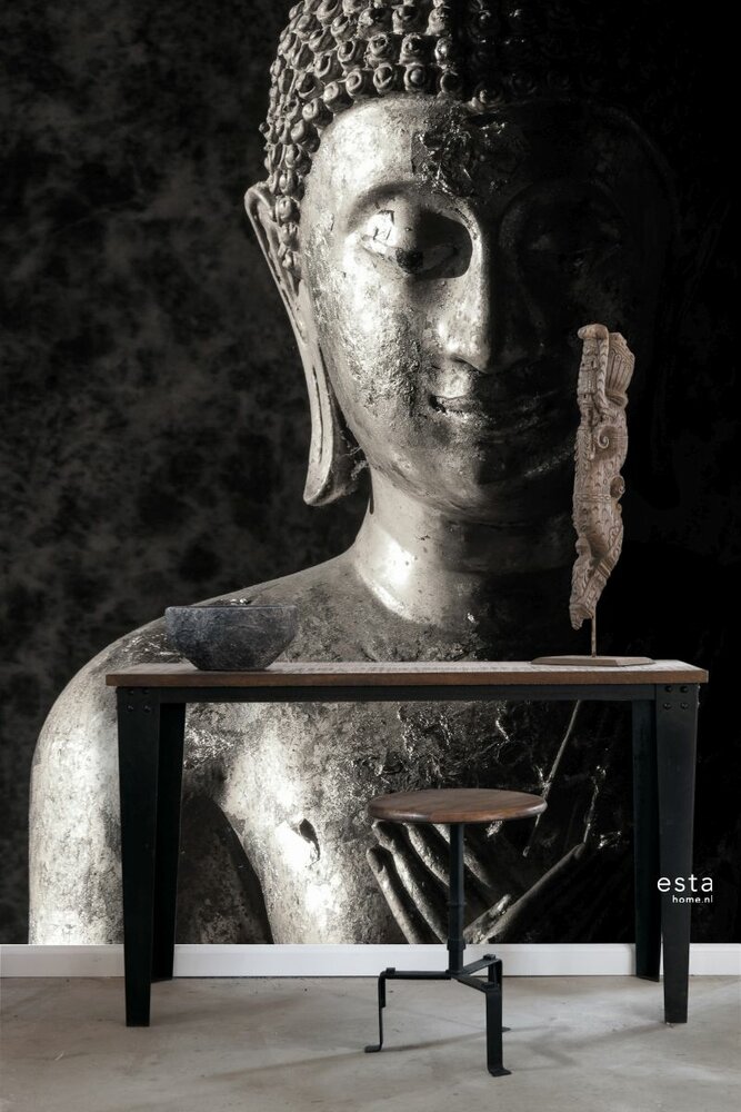 Esta XL2 - Photowalls | Boho Chic 158823 (FREE Glue Included!)