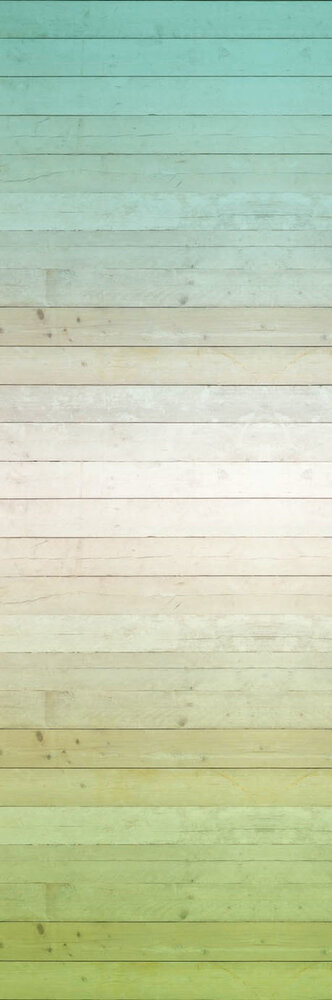 Eijffinger BLOOM 340092 (Free Glue Included)