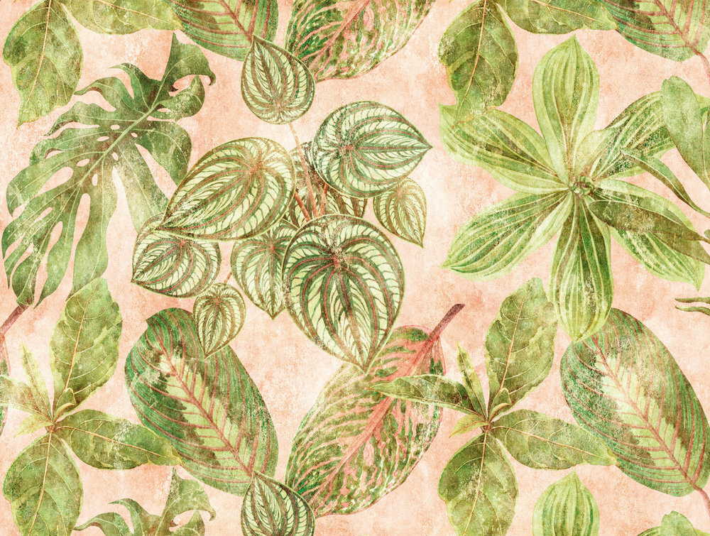 AS Creation Jungle The Wall 38242-1