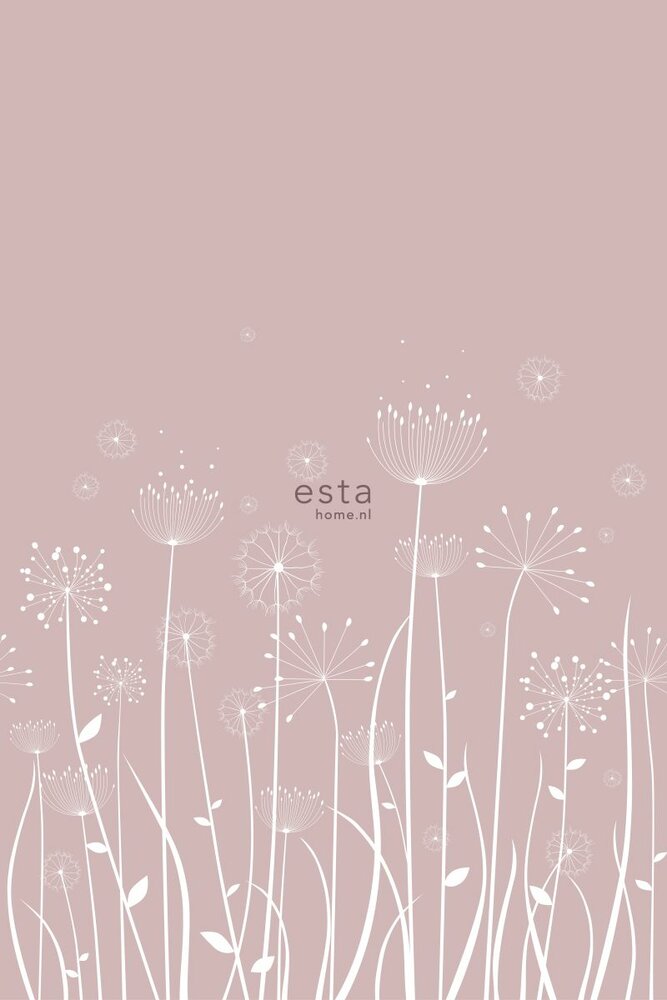 Esta XL2 - Photowalls | Scandi Cool 158905 (FREE Glue Included!)