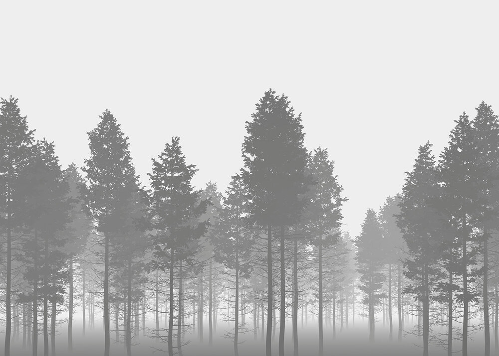 Komar Nebula X7-1021