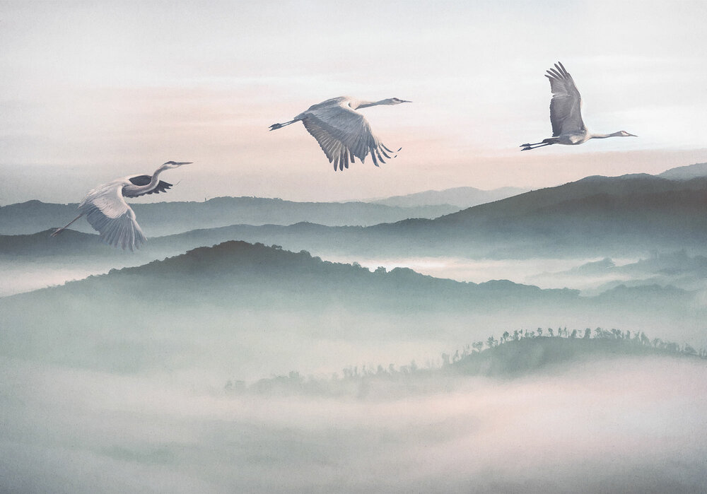 Komar Mystic Cranes INX8-083