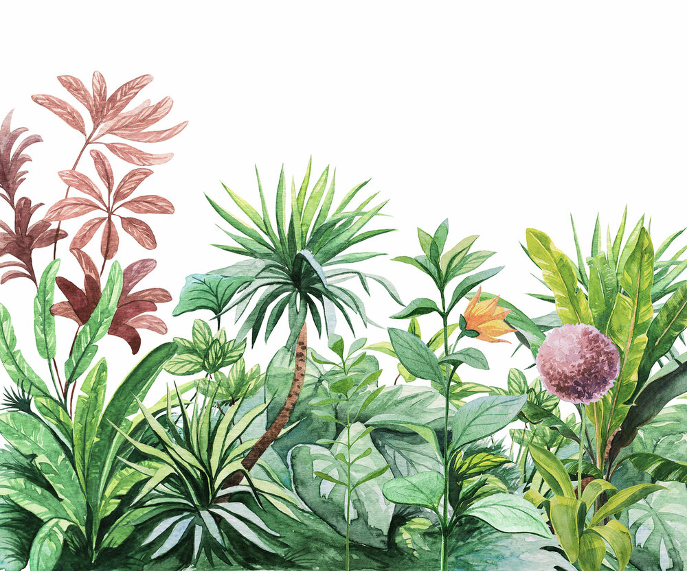 Komar Terrain IAX6-0007