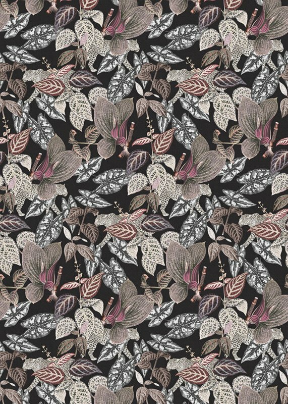 BehangExpresse Checking Out Nature TD4135 (FREE Glue Included!)