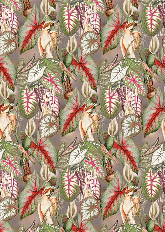 BehangExpresse Checking Out Nature TD4138 (FREE Glue Included!)