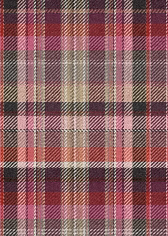 BehangExpresse Checking Out Nature TD4139 (FREE Glue Included!)