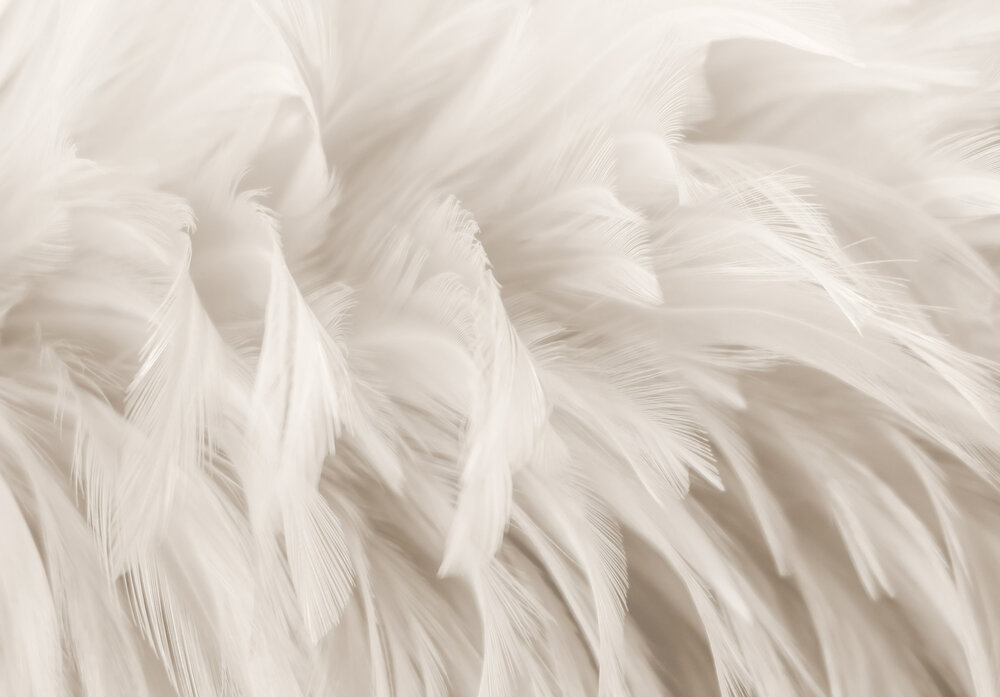 Veren Fotobehang 15279