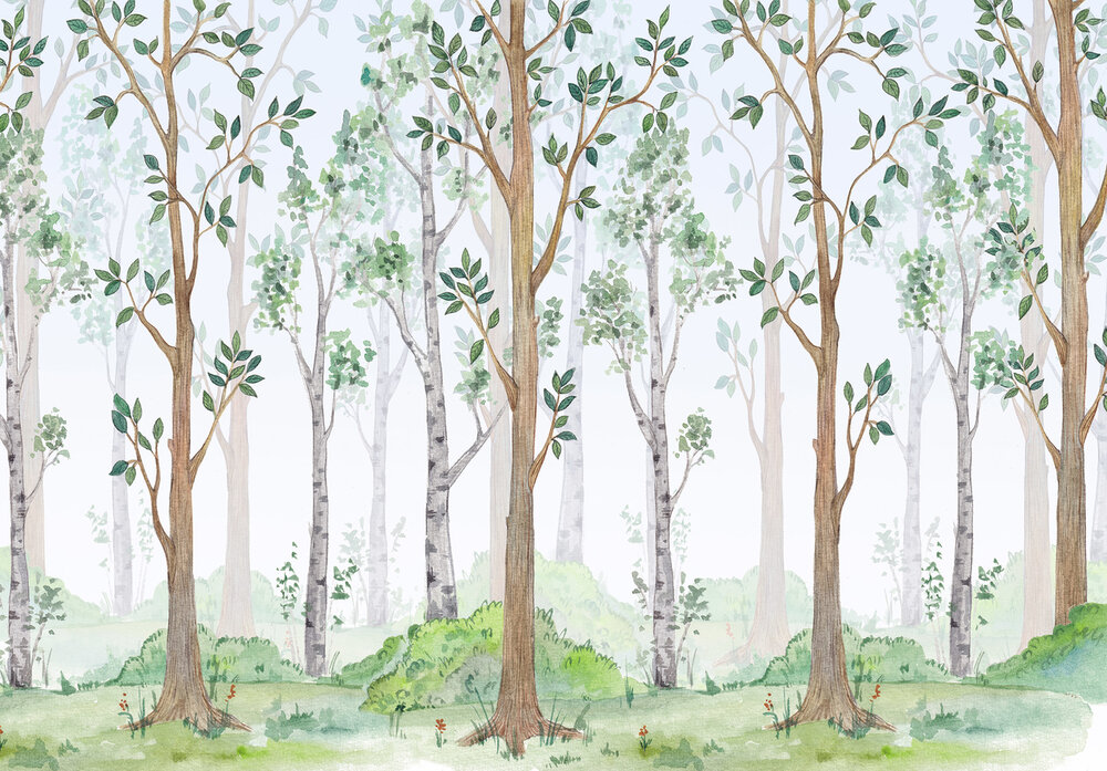 A Walk Into The Forest 14068