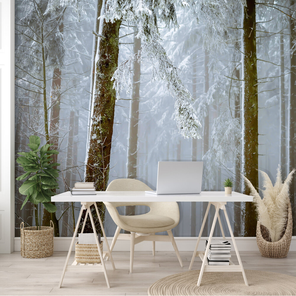 Mistig Bos Fotobehang 13919P8