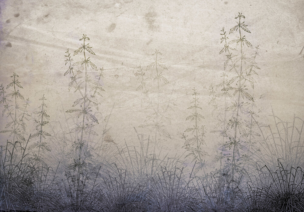 Plants Wall Mural 13789P8