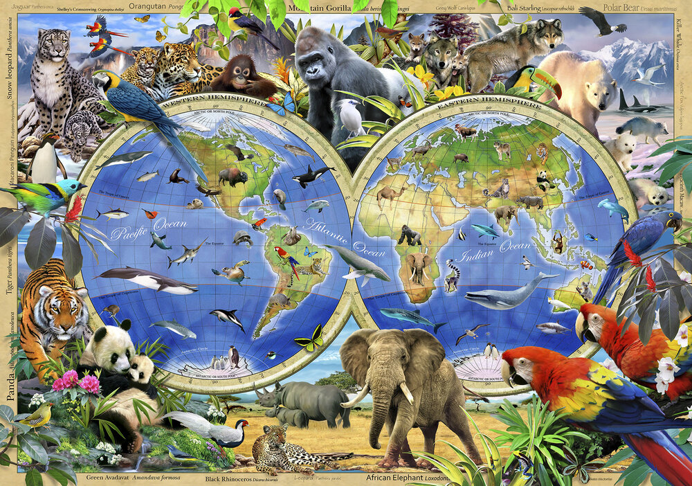 Wereldkaart Dieren Fotobehang 12842P8