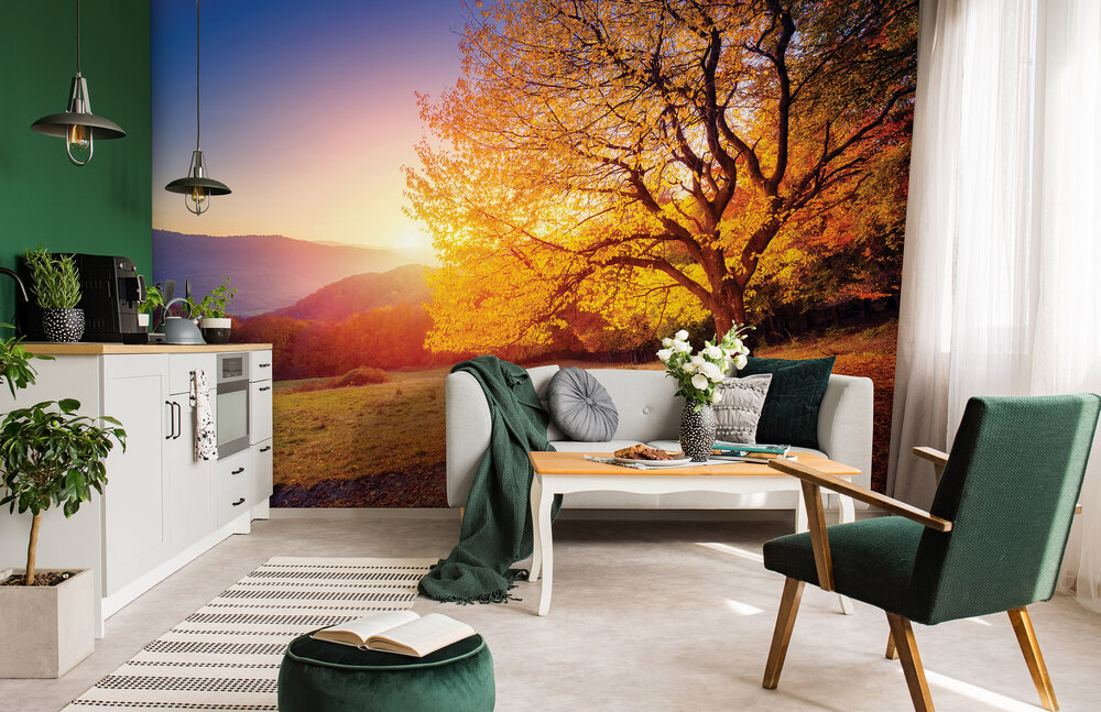 Kleurrijk Bos Fotobehang 12640P8