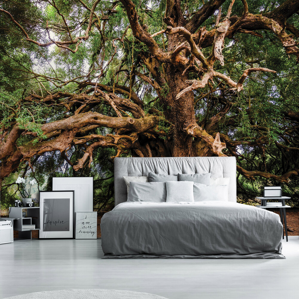 Oude Boom Fotobehang 13011P8