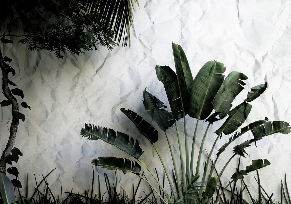 Botanical Photo Wall Mural 12595P8