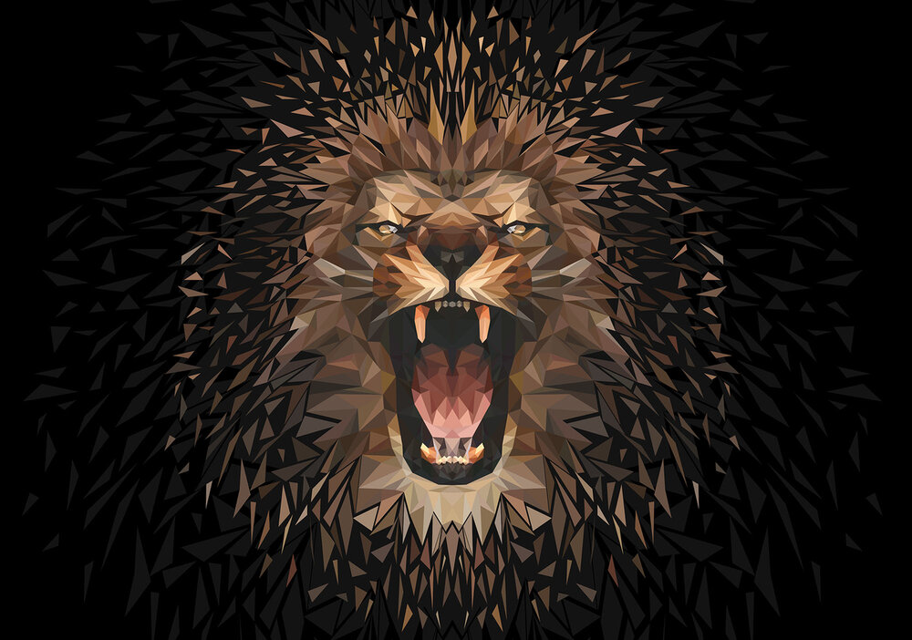 Lion Photo Wall Mural 11559P8