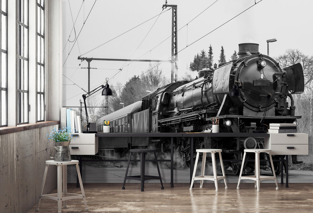 Photo Wall Mural Train 11385P8