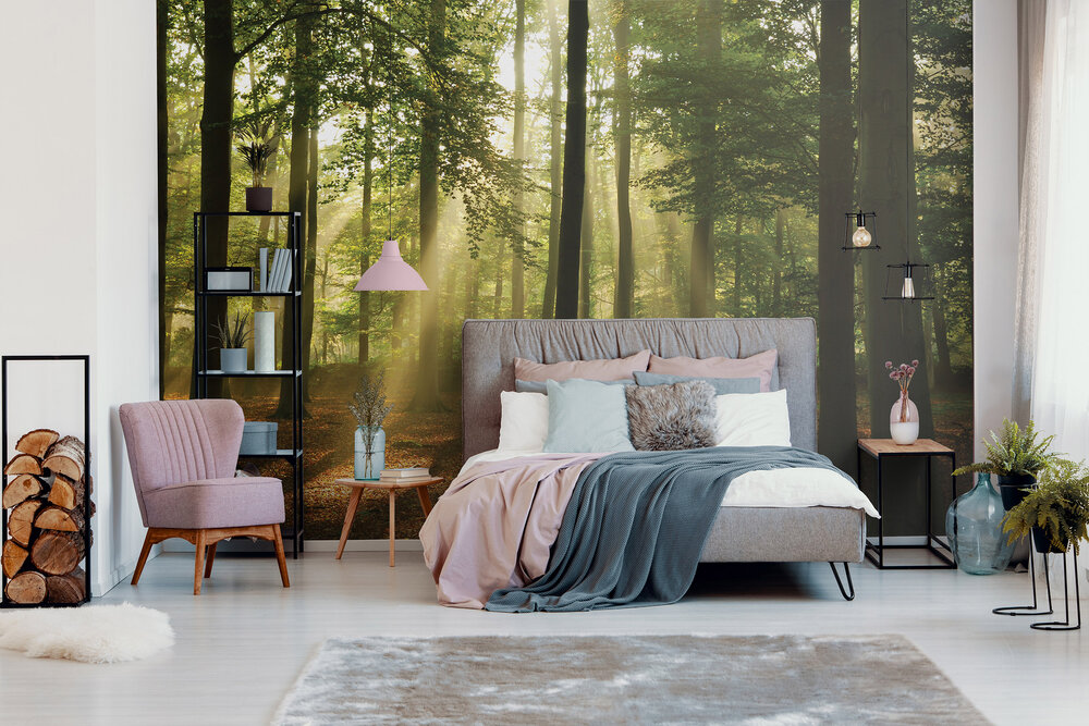 bos fotobehang zonneschijn