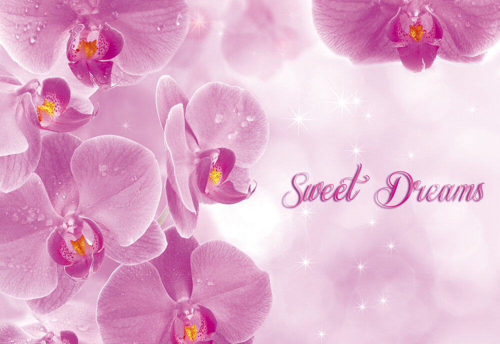 Flowers &amp; Plants Photo Wall Mural 778P8