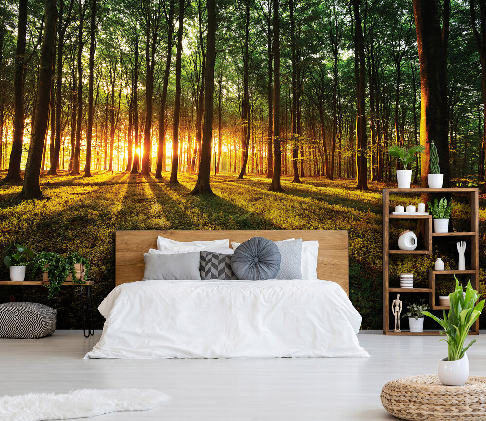 Trees &amp; Leaves Photo Wallpaper Mural 2226P8