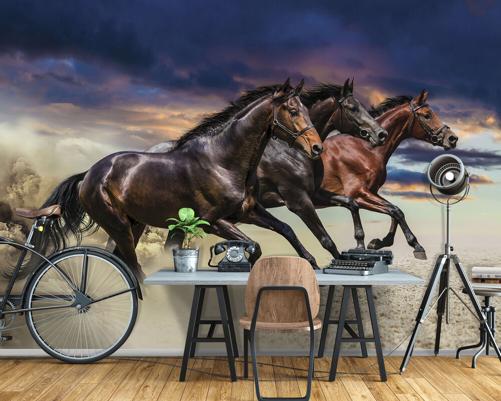 Horses Photo Wallpaper Mural 1217P8