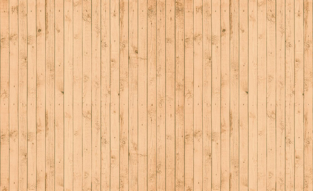 Wood Photo Wallpaper Mural 1011P8