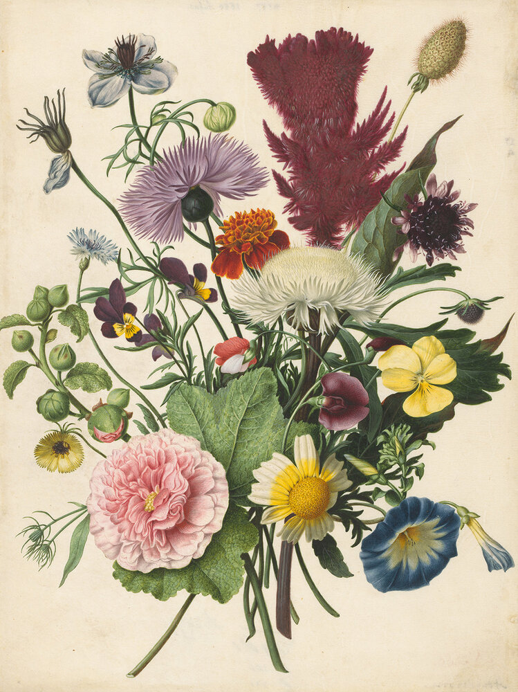 Rijksmuseum Flowers 1680 RM31 (FREE Glue Included!)