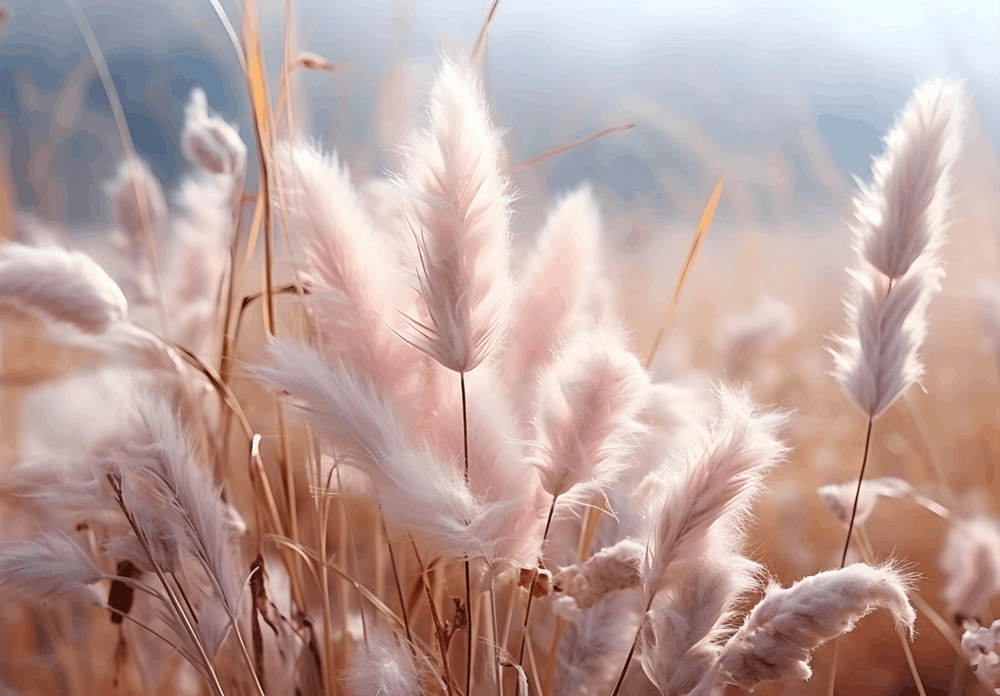 Boho Pampas Grass Wall Mural 14777