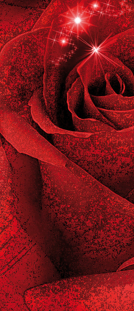 Door Mural Photo Wallpaper 339VET