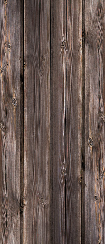 Door Mural Photo Wallpaper 3524VET