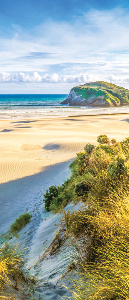 Door Mural Photo Wallpaper 3611VET