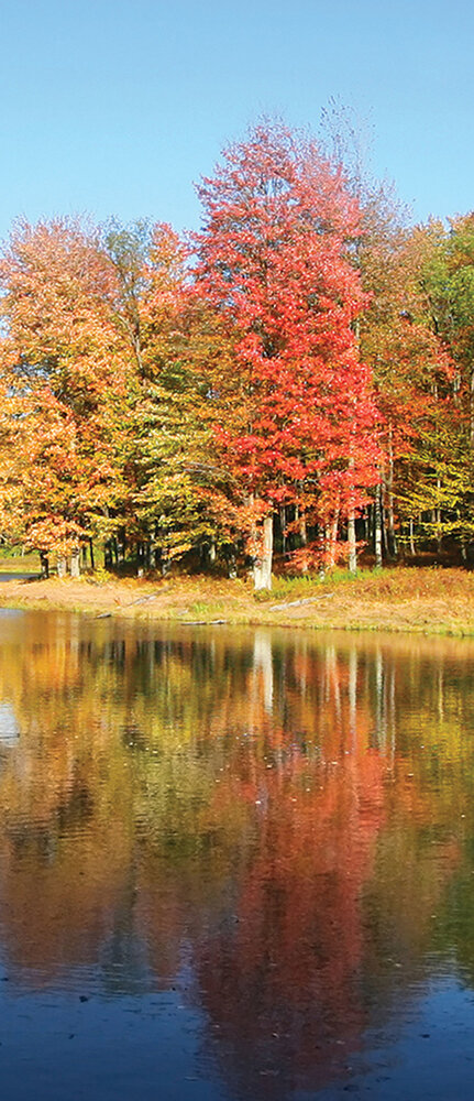 Lake Door Mural Photo Wallpaper 12113VET