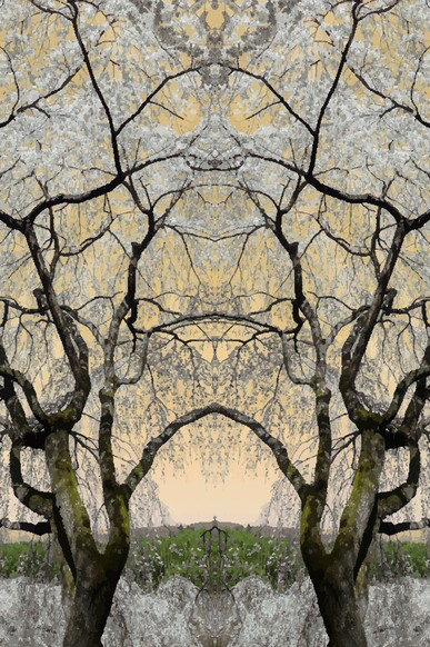 BN Wallcoverings No Limits 30586 Asian serenity