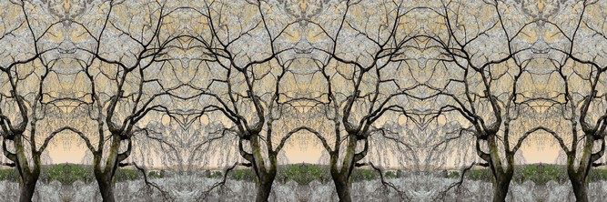 BN Wallcoverings No Limits 30582 Asian serenity