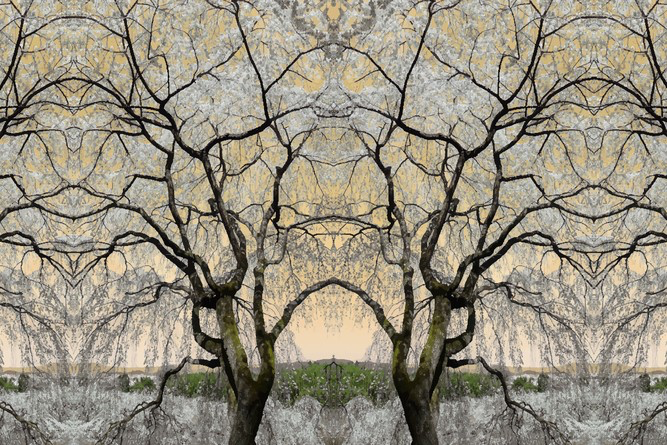 BN Wallcoverings No Limits 30584 Asian serenity