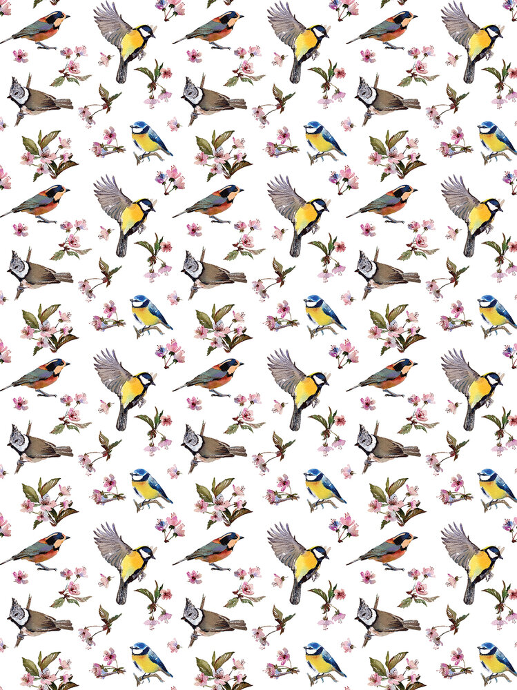 Little Birds and Floral Patterns Photo Wall Mural 10401VEA