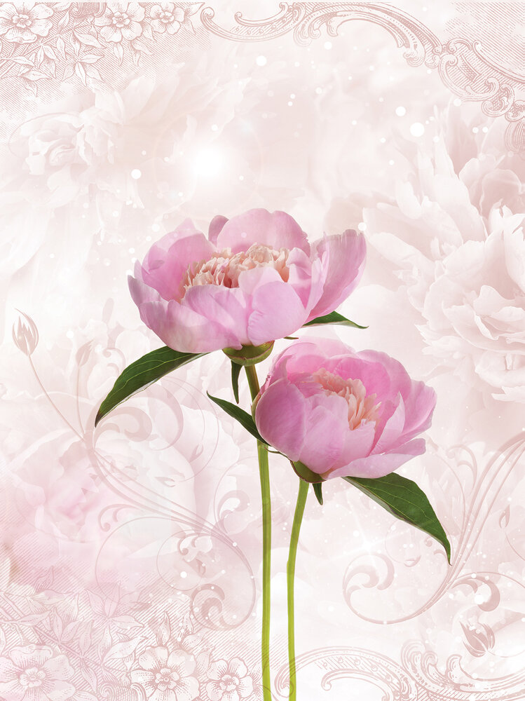 Pink Peony Photo Wall Mural 10295VEA