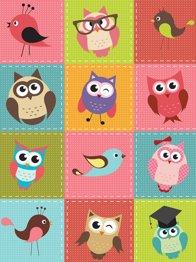 Birds and Owls Patchwork Photo Wall Mural 10376VEA