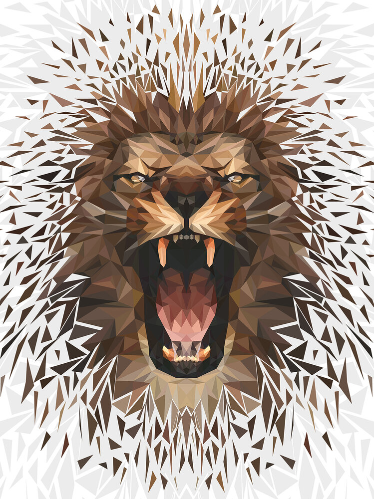 Tiger Photo Wall Mural 11560VEA