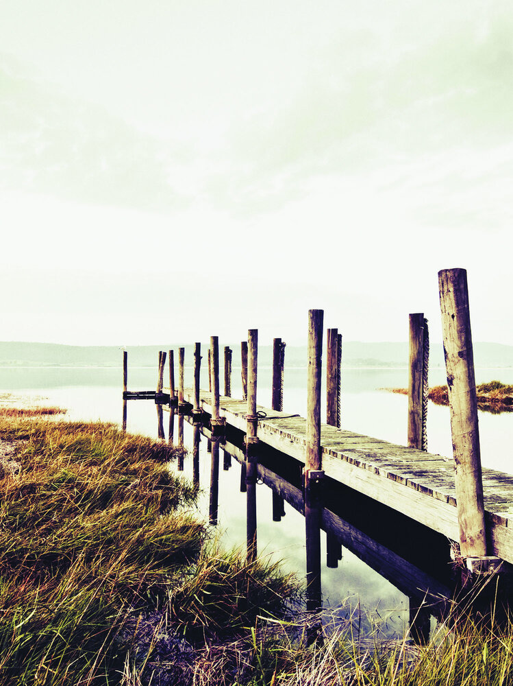 bridge Photo Wall Mural 12048VEA