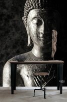 Esta XL2 - Photowalls | Boho Chic 158823 (FREE Glue Included!)