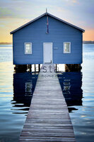 Esta Cabana 158611 (FREE Glue Included!)