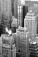 Esta Denim &amp; Co. 157707 (FREE Glue Included!)