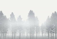 Komar Raw Silver Haze RSX8-055