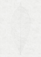 Komar Raw Decent Leaf R2-012