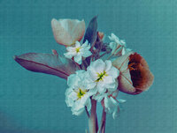 AS Creation Flower The Wall 38269-1