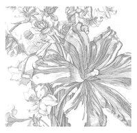 KEK Amsterdam Engraved Flowers II WP.332