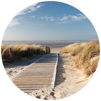 Dunes Circle Mural 1020VEZ