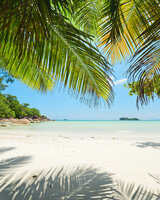 Komar Under The Palmtree SH028-VD2